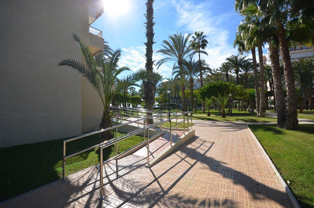 Apartment Sweet El Palmeral Locos