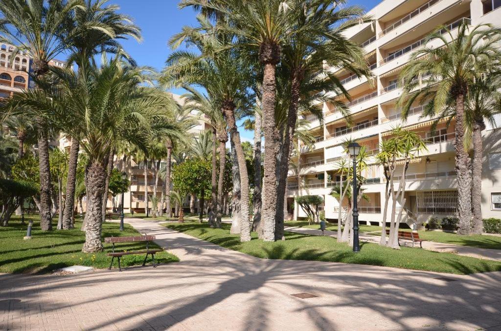 Sweet El Palmeral Locos Torrevieja